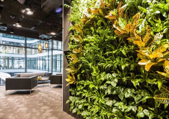 living wall