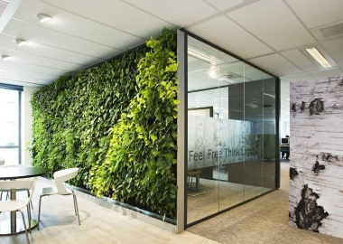 Living walls